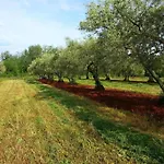 In Croatia Near Adriatic Coast Villa *