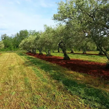 In Croatia Near Adriatic Coast 别墅 *